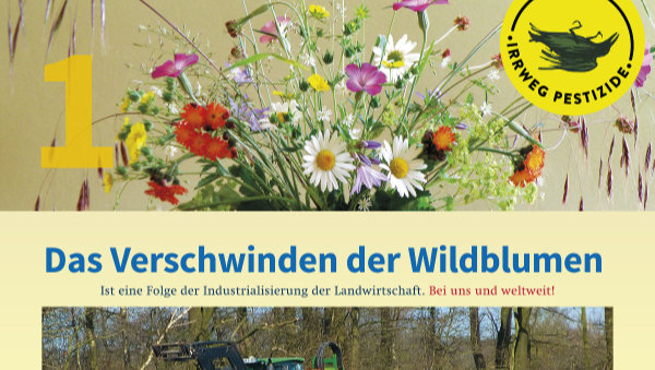 Irrweg Pestizide Das Verschwinden der Wildblumen